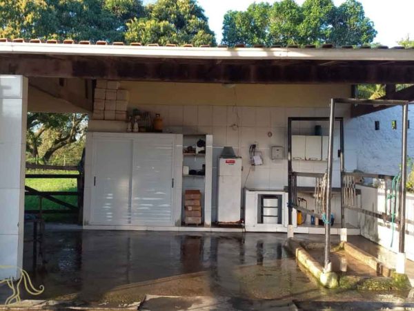 ms-clinica-veterinaria